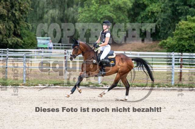 Late-Entry-Vielseitigkeit Langenfeld (11.+13./14.06.2020)