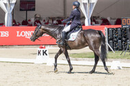 FEI European Championship