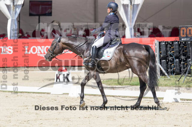 FEI European Championship