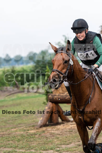 De Peelbergen (August 2020)