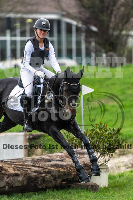 Goldene Schärpe 2020 - Pferde