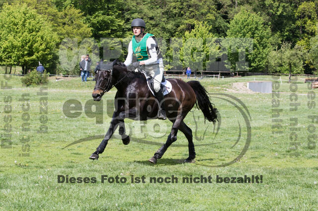 Sterne über Münster 2019 - CCI***S
