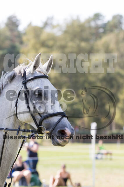 FEI European Championship Eventing 2019