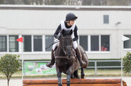 Eventing Langenfeld 2018