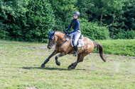 Goldene Schärpe 2021 - Ponys