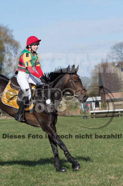 Vielseitigkeitsturnier RV Seydlitz Kamp (03.04.2022)