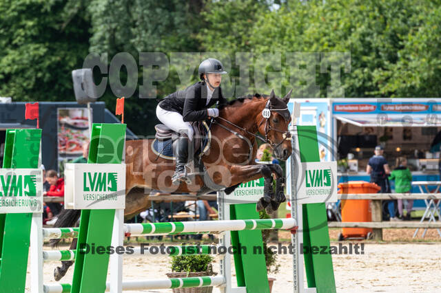 Goldene Schärpe 2021 - Ponys