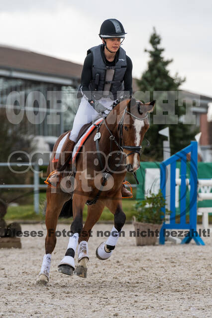 Eventing im Pferdesportzentrum Rheinland (Late Entry 14.03.2022)