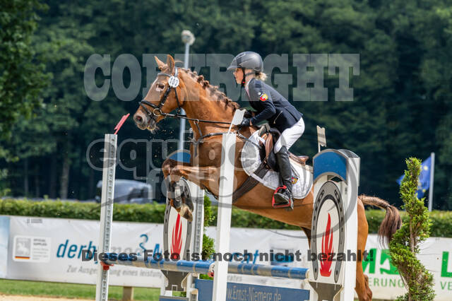 Goldene Schärpe 2021 - Ponys