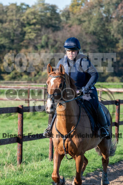 Vielseitigkeitslehrgang mit Jürg Kurbel (9.+10.11.2019)