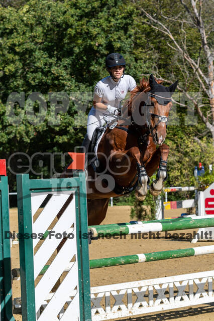 RFV Dinslaken-Hiesfeld (Herbstturnier)