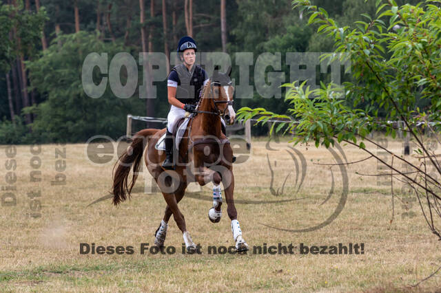 Late-Entry Vielseitigkeit Hamminkeln/Wesel (01.+02.08.2020)