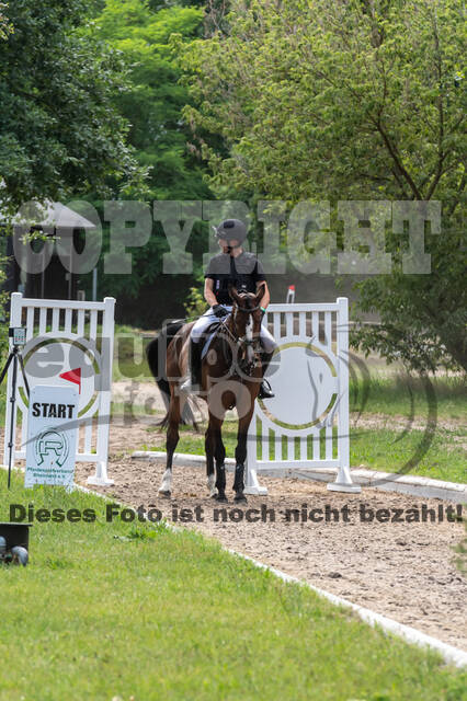 Late-Entry-Vielseitigkeit Langenfeld (11.+13./14.06.2020)