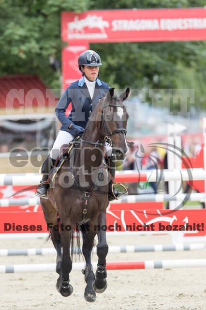 FEI European Championship