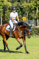 Kronenberg - De Peelbergen (August 2020)