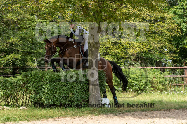 Late-Entry-Vielseitigkeit Gahlen (18.07.2020)