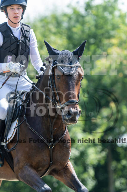 Goldene Schärpe 2021 - Ponys