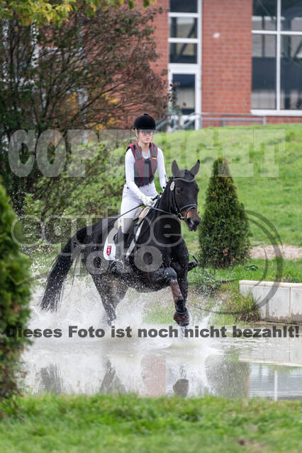 Goldene Schärpe 2020 - Pferde