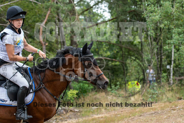 Late-Entry Vielseitigkeit Hamminkeln/Wesel (01.+02.08.2020)