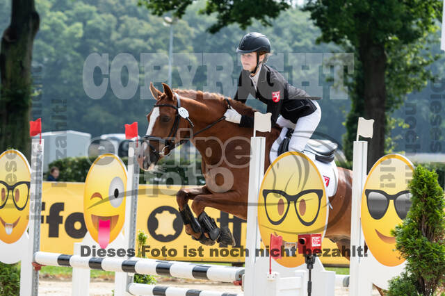Goldene Schärpe 2021 - Ponys