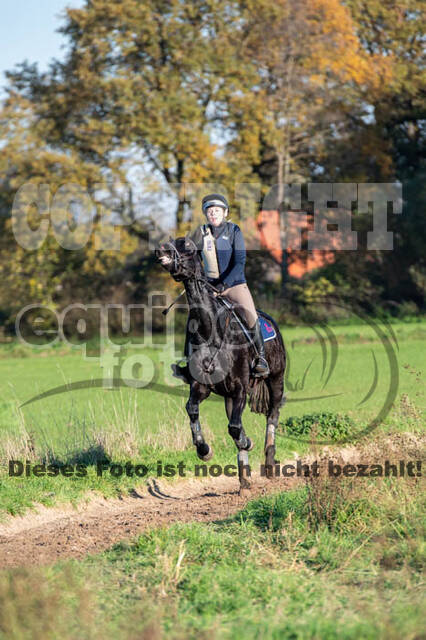Vielseitigkeitslehrgang mit Jürg Kurbel (9.+10.11.2019)