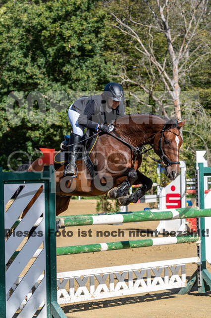 RFV Dinslaken-Hiesfeld (Herbstturnier)