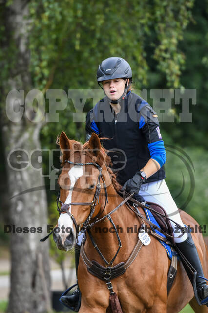 Late-Entry-Vielseitigkeit Langenfeld (11.+13./14.06.2020)