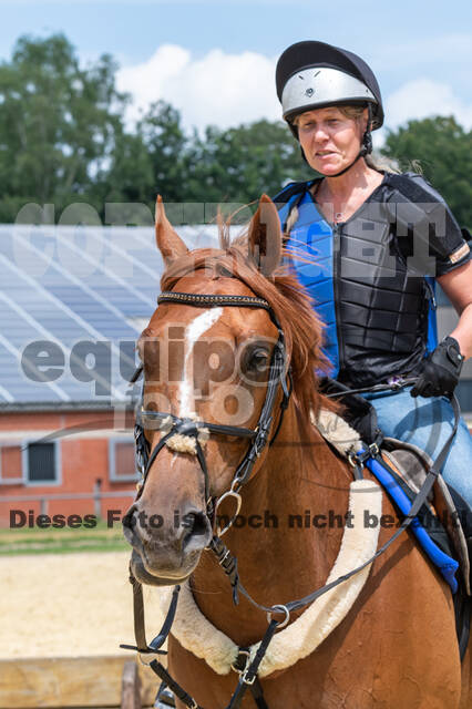 Hunter Geländetraining 10.07.2021 (Sonsbeck)