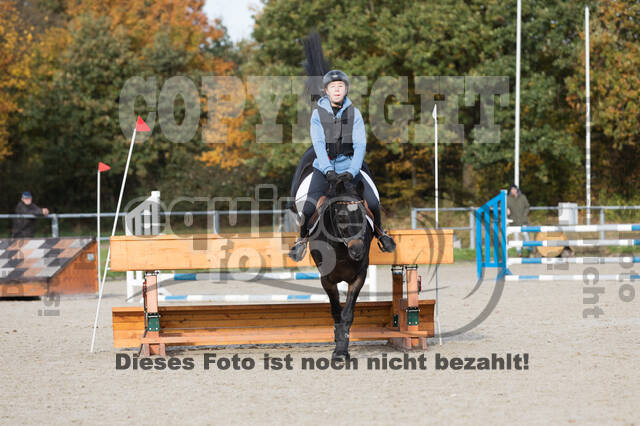 IGV Lehrgang der Sieger der Cups mit Frank Ostholt