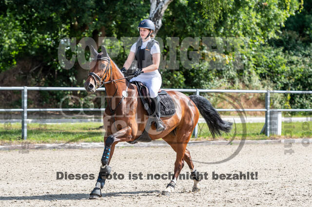 Late-Entry-Vielseitigkeit Langenfeld (11.+13./14.06.2020)