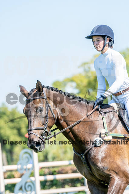 Kronenberg - De Peelbergen (August 2020)