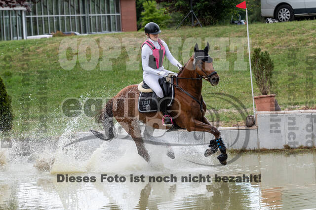 Late-Entry-Vielseitigkeit Langenfeld (11.+13./14.06.2020)