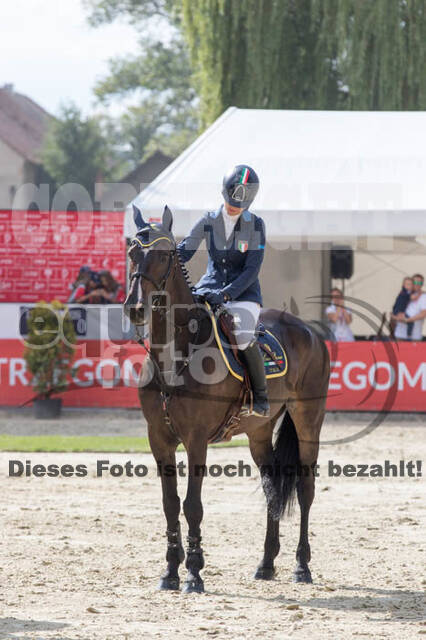FEI European Championship