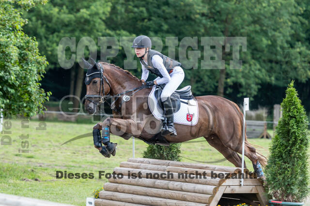 Goldene Schärpe 2021 - Ponys