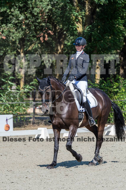 Kronenberg - De Peelbergen (August 2020)