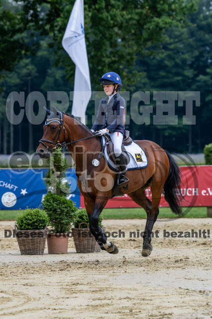 Goldene Schärpe 2021 - Ponys