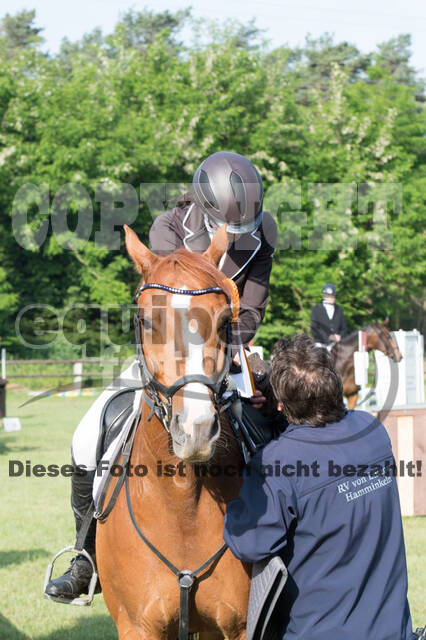 Vielseitigkeitsturnier ZRuFV von Lützow Hamminkeln