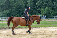 Hunter Geländetraining 10.07.2021 (Sonsbeck)