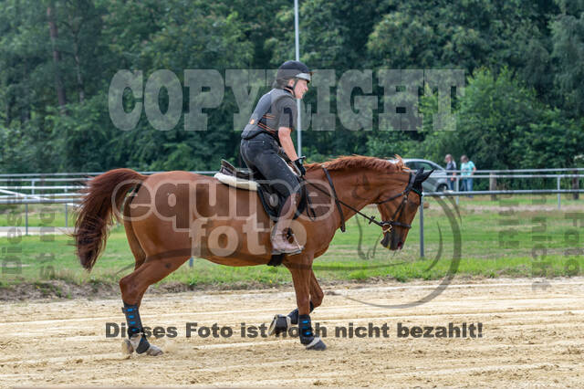 Hunter Geländetraining 10.07.2021 (Sonsbeck)