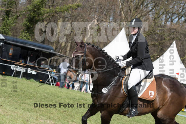 Frühjahrsvielseitigkeit RV Seydlitz Kamp