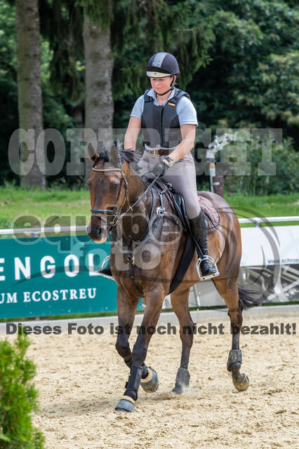 Hunter Geländetraining 10.07.2021 (Sonsbeck)
