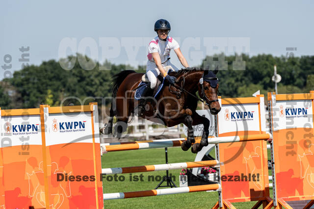 Kronenberg - De Peelbergen (August 2020)