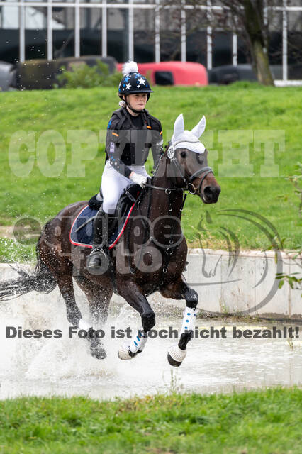 Goldene Schärpe 2020 - Pferde