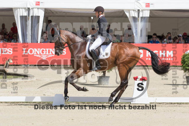 FEI European Championship Eventing 2017