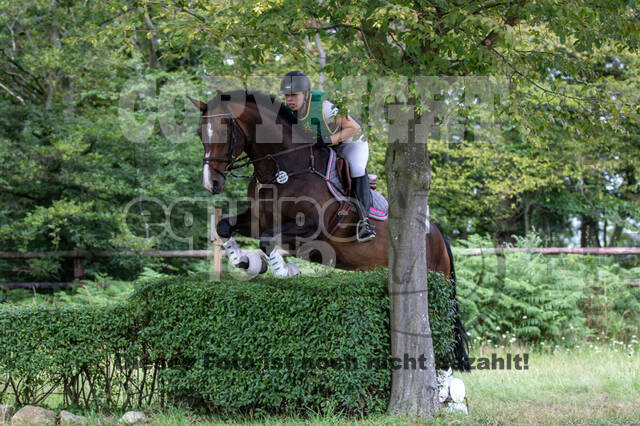 Late-Entry-Vielseitigkeit Gahlen (18.07.2020)