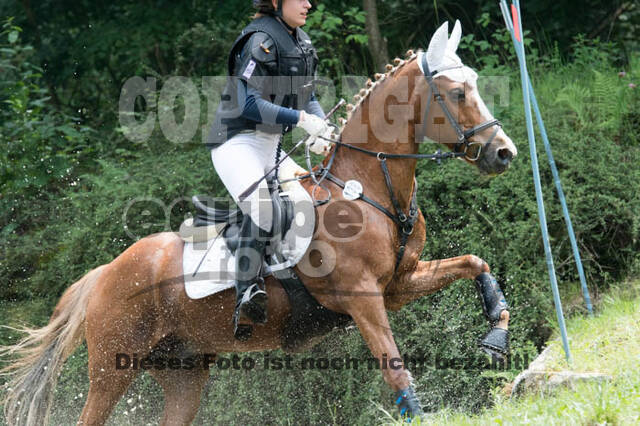 RFV Bad Honnef