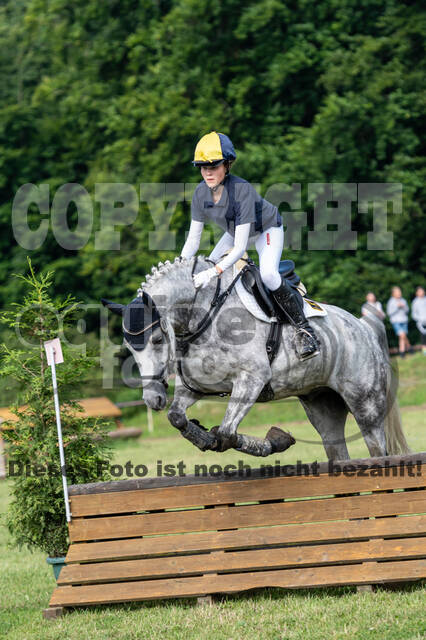 Goldene Schärpe 2021 - Ponys