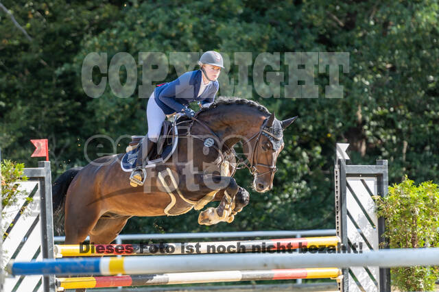 RFV Dinslaken-Hiesfeld (Herbstturnier)