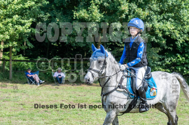 Goldene Schärpe 2021 - Ponys