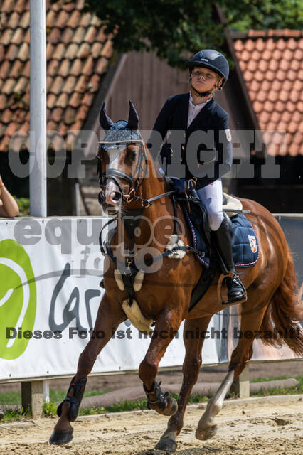 Goldene Schärpe 2021 - Ponys